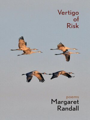 cover image of Vertigo of Risk